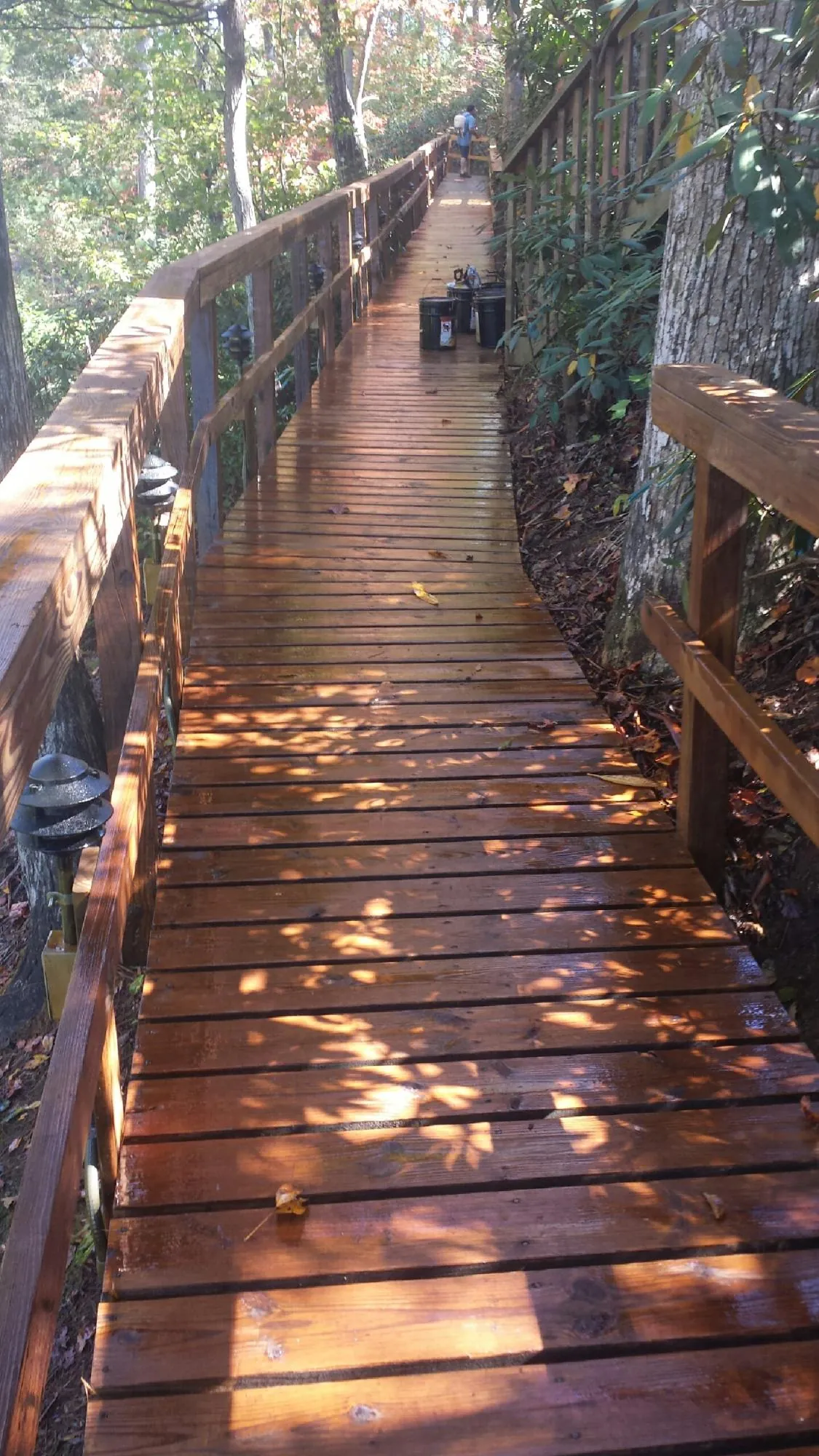 Freshly stained wood walkway winding through the woods in Fisher